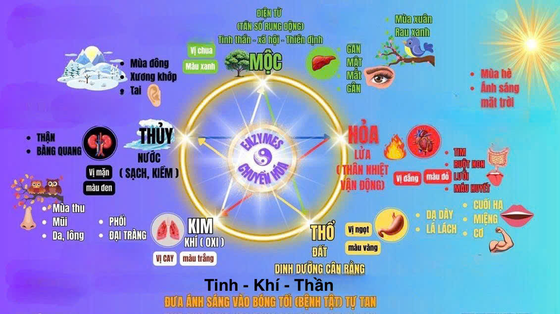 Logo Viên Ngọc Sáng